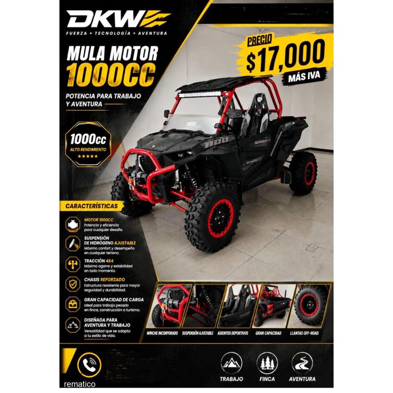 Mula Motor DKW 1000 CC ItemDK2