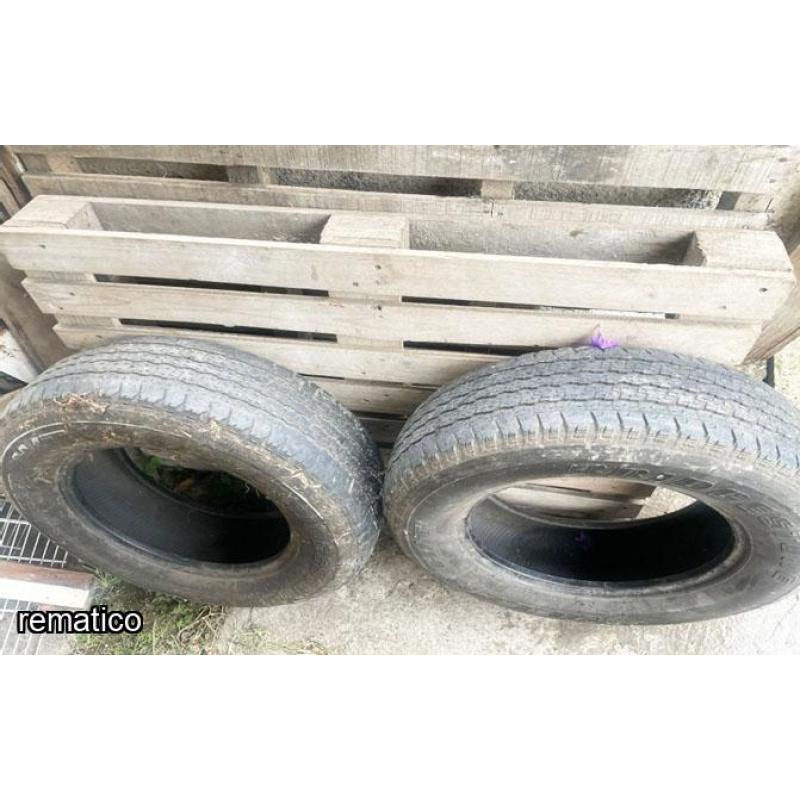2 Llantas Bridgstone ItemFN15